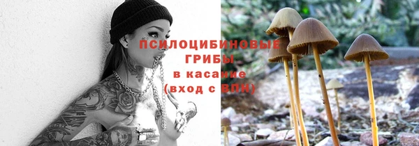 дмт Беломорск