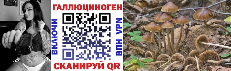 сколько стоит Красноярск маркетплейс наркотические препараты Псилоцибиновые грибы мухоморы