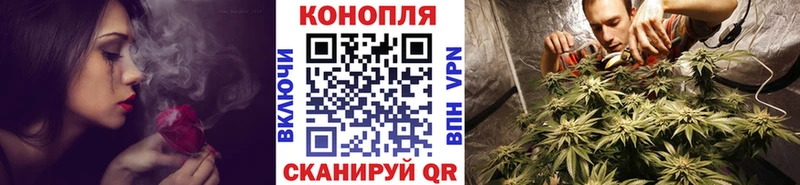 купить наркотики цена  Красноярск  Бошки Шишки LSD WEED 